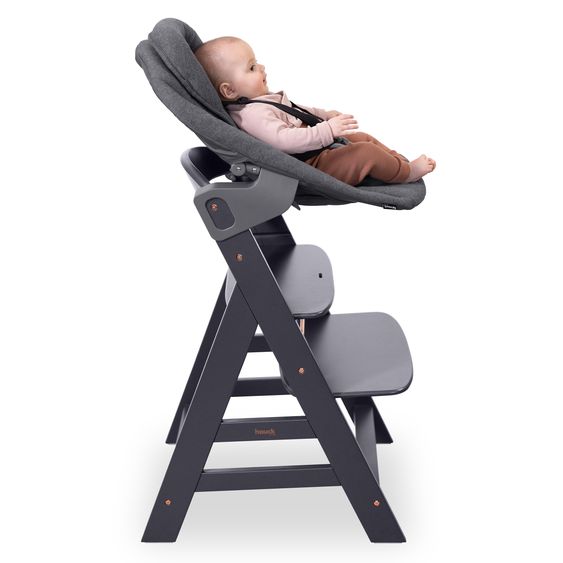 Hauck Sdraietta 2in1 Premium (aggancio regolabile per neonati e sdraietta) per seggiolone Alpha e Beta - Grigio Scuro