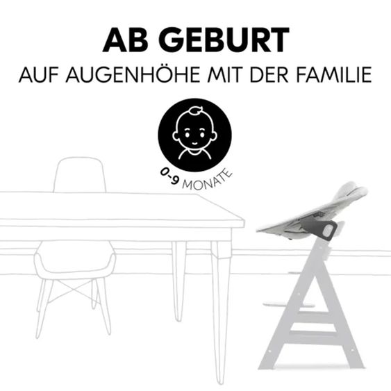 Hauck Bouncer 2in1 Premium (verstellbarer Neugeborenenaufsatz & Wippe) für Alpha & Beta Hochstuhl - Light Grey