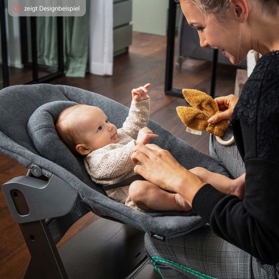 Hauck Bouncer 2in1 Premium (adjustable newborn attachment & rocker) for Alpha & Beta high chair - Nordic Grey