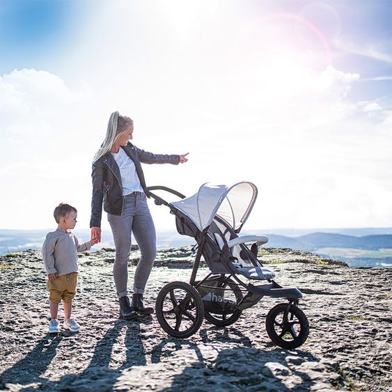 Hauck Buggy & Jogger Runner mit großen Luftreifen - Silver Grey