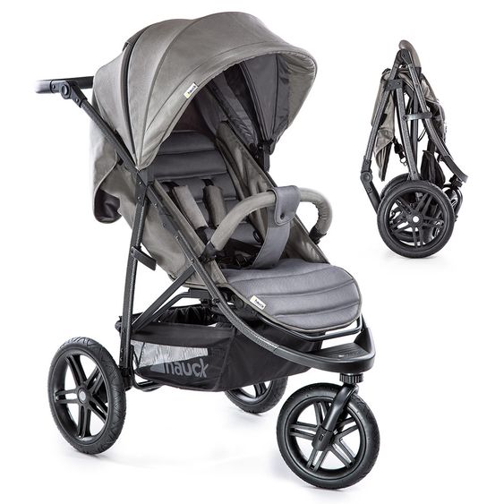 Hauck Buggy Rapid 3R (bis 25 kg) - Charcoal
