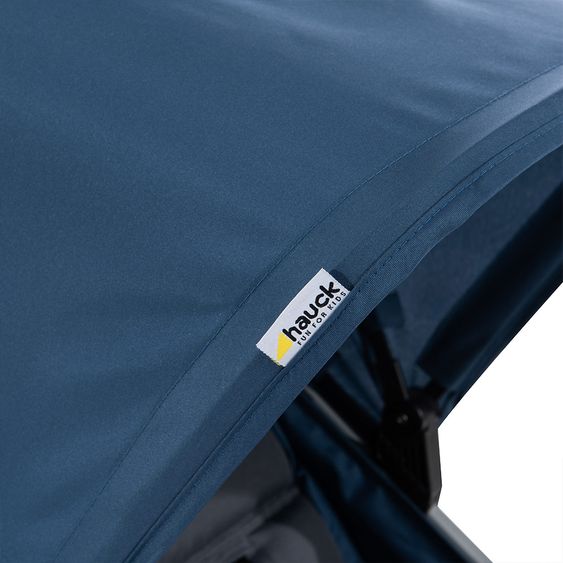 Hauck Buggy Rapid 4 (bis 25 kg) - Denim Grey
