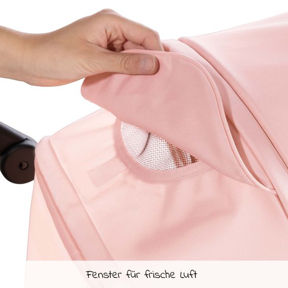 Hauck Buggy Rapid 4R Plus (bis 25 kg) - Rose