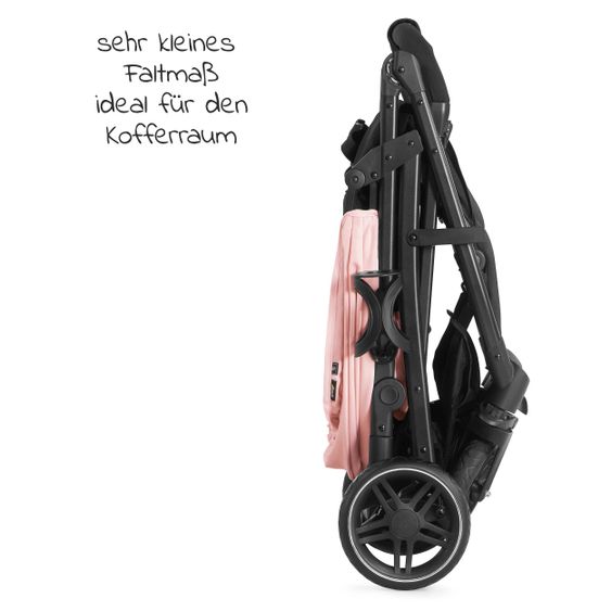Hauck Buggy Rapid 4R Plus (bis 25 kg) - Rose