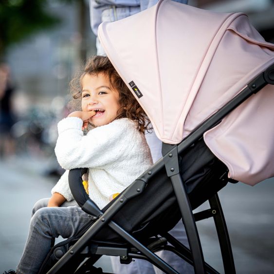 Hauck Buggy Rapid 4R Plus (bis 25 kg) - Rose