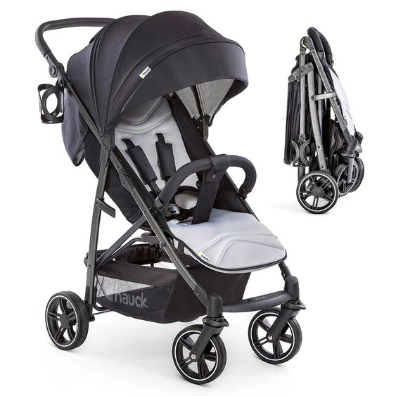 Hauck Buggy Rapid 4S (bis 25 kg) - Caviar Silver