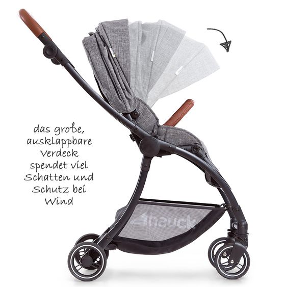 Hauck Buggy & Sportwagen Eagle 4S (bis 25 kg belastbar) - Melange Grey