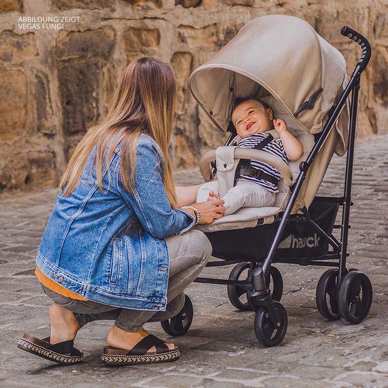 Hauck Buggy Vegas (bis 25 kg) - Charcoal