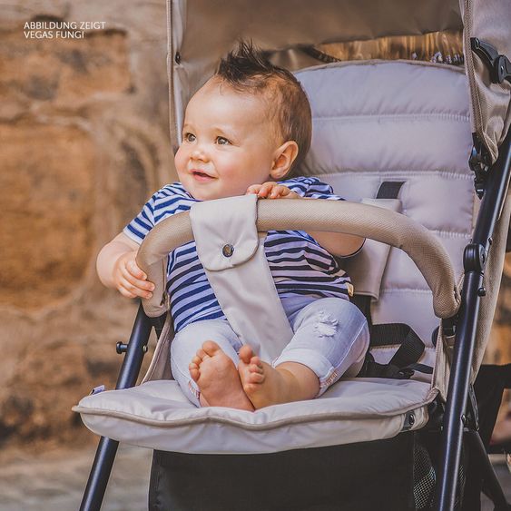 Hauck Buggy Vegas (bis 25 kg) - Charcoal