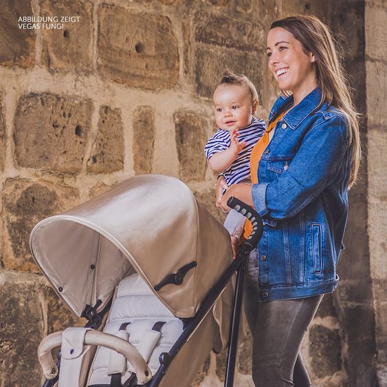 Hauck Buggy Vegas (bis 25 kg) - Charcoal