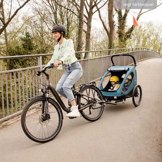 Hauck Fahrradanhänger Sparset Dryk Duo für 2 Kinder (bis 44 kg) - Bike Trailer & City Buggy - inkl. Babysitz Lounger & Schutzpaket - Grey