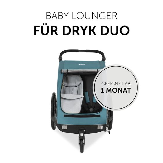 Hauck Fahrradanhänger Sparset Dryk Duo für 2 Kinder (bis 44 kg) - Bike Trailer & City Buggy - inkl. Babysitz Lounger & Schutzpaket - Grey