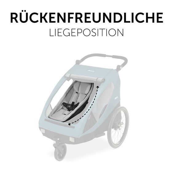 Hauck Fahrradanhänger Sparset Dryk Duo für 2 Kinder (bis 44 kg) - Bike Trailer & City Buggy - inkl. Babysitz Lounger & Schutzpaket - Grey