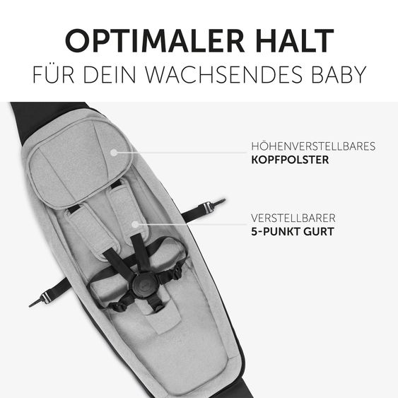 Hauck Fahrradanhänger Sparset Dryk Duo für 2 Kinder (bis 44 kg) - Bike Trailer & City Buggy - inkl. Babysitz Lounger & Schutzpaket - Grey