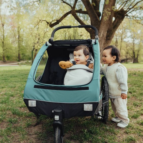 Hauck Fahrradanhänger Sparset Dryk Duo für 2 Kinder (bis 44 kg) - Bike Trailer & City Buggy - inkl. Babysitz Lounger & Schutzpaket - Grey