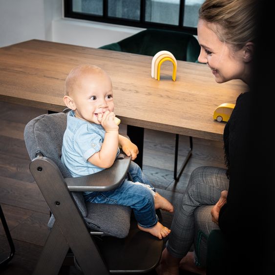 Hauck High chair Alpha Charcoal Selectline - in economy set incl. wooden dining board and seat cushion Jersey Charcoal