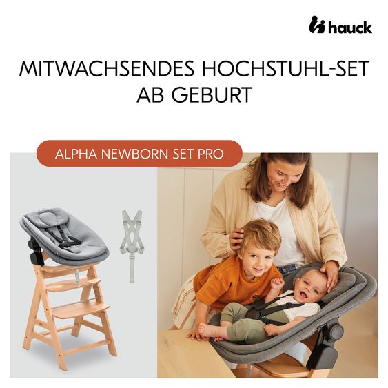 Hauck Hochstuhl Alpha Newborn Set Pro - Nature Grey