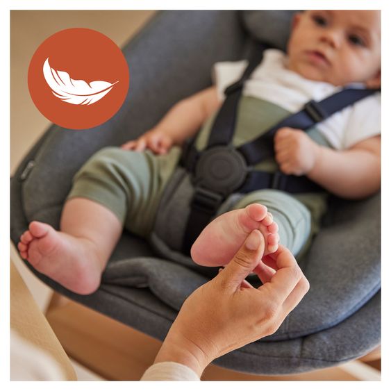 Hauck Hochstuhl Alpha Newborn Set Pro - Nature Grey