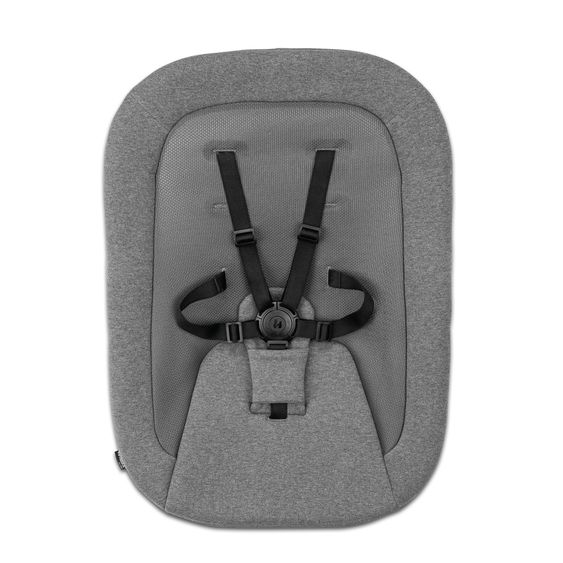 Hauck Hochstuhl Alpha Newborn Set Pro - Nature Grey