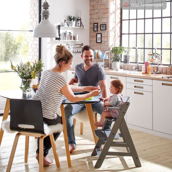 Hauck Hochstuhl Alpha Plus Black - im Sparset inkl. Click Tray und Sitzkissen