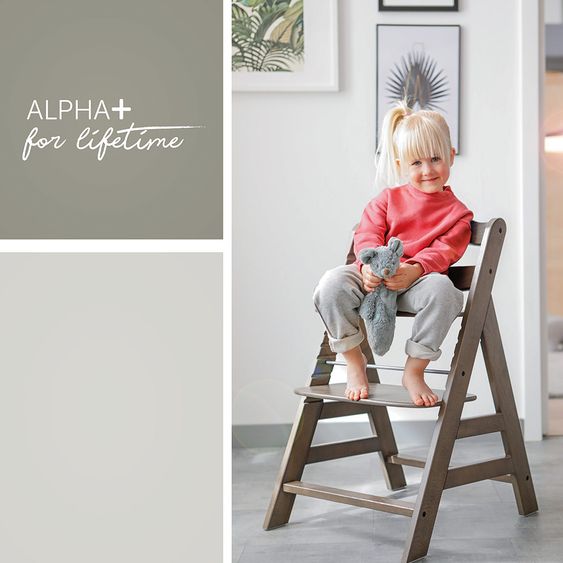 Hauck Hochstuhl Alpha Plus - Charcoal