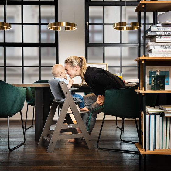 Hauck Hochstuhl Alpha Plus Charcoal - im Sparset inkl. Sitzverkleinerer Bambi Rose - Disney