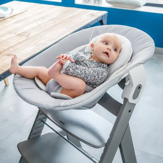 Hauck Seggiolone Alpha Plus - Grigio