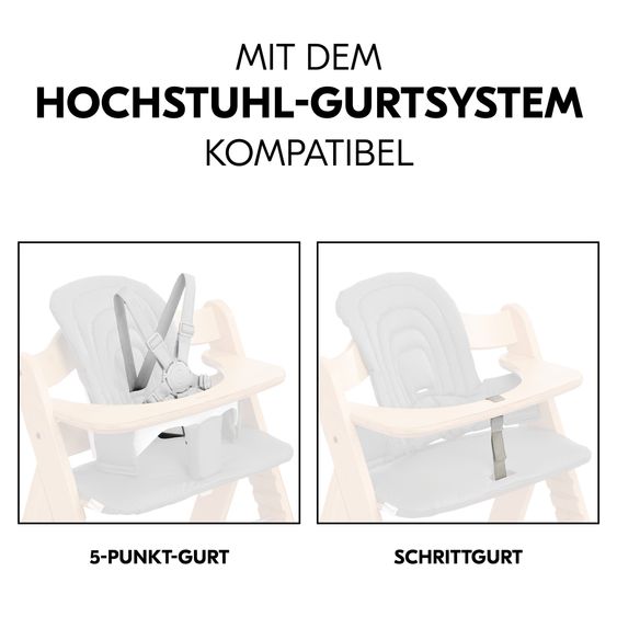 Hauck Hochstuhl Alpha Plus Grey - im Sparset inkl. Baby Seat + Baby Seatpad + Click Tray