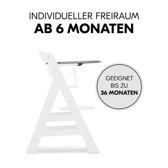 Hauck Hochstuhl Alpha Plus Grey - im Sparset inkl. Baby Seat + Baby Seatpad + Click Tray