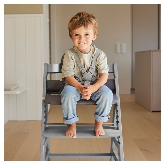 Hauck Hochstuhl Alpha Plus Grey - im Sparset inkl. Baby Seat + Baby Seatpad + Click Tray