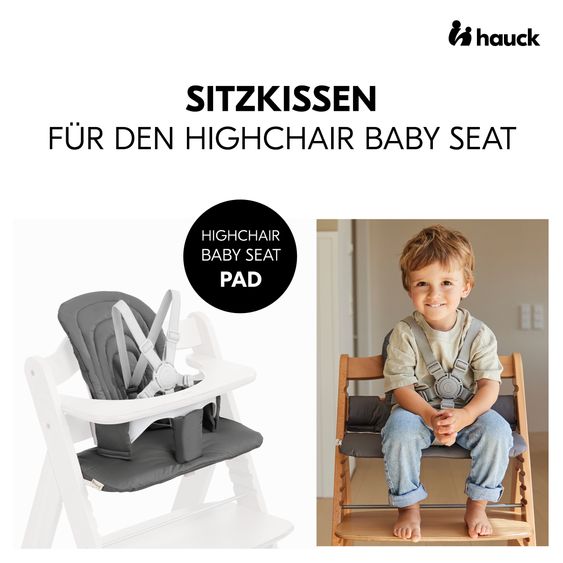 Hauck Hochstuhl Alpha Plus Grey - im Sparset inkl. Baby Seat + Baby Seatpad + Click Tray