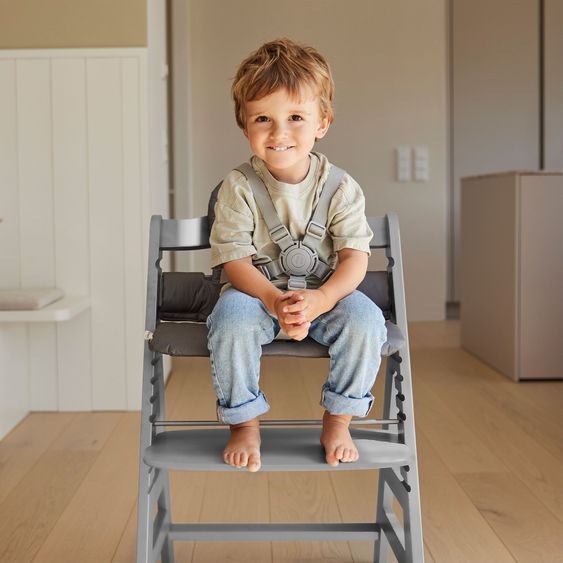 Hauck Highchair Alpha Plus Grey - in the value set incl. seat cushion Stretch Grey