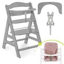 Highchair Alpha Plus Grey - in the value set incl. seat reducer Bambi Rose - Disney