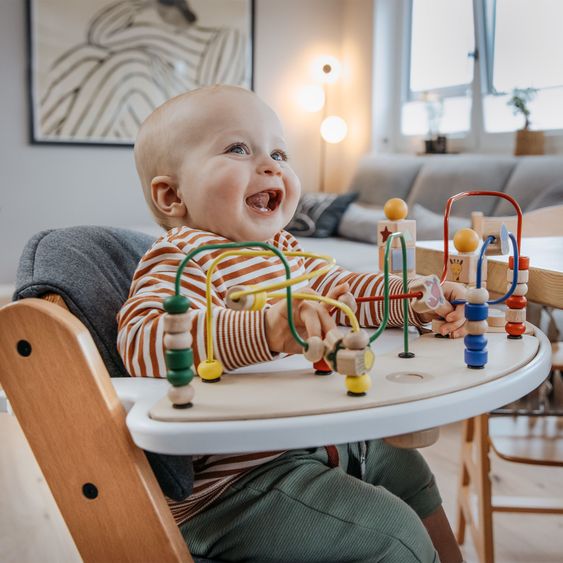 Hauck High Chair Alpha Plus - in the savings set incl. storage basket Winnie Pooh - Nature