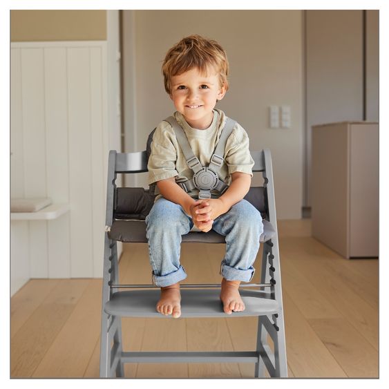 Hauck Hochstuhl Alpha Plus - im Sparset inkl. Baby Seat - Grey