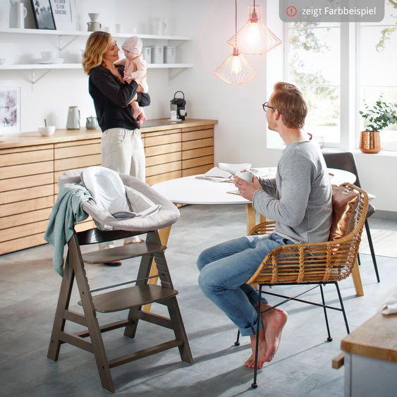 Hauck Hochstuhl Alpha Plus Select 4-tlg. Newborn Set - inkl. 2in1 Babyaufsatz & Wippe Disney Bambi Rose + Essbrett - Charcoal