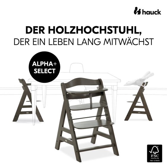 Hauck Highchair Alpha Plus Select Charcoal - in a savings set incl. seat cushion Muslin Mineral Rose + 2 silicone plates