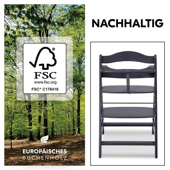 Hauck Hochstuhl Alpha Plus Select - Dark Grey