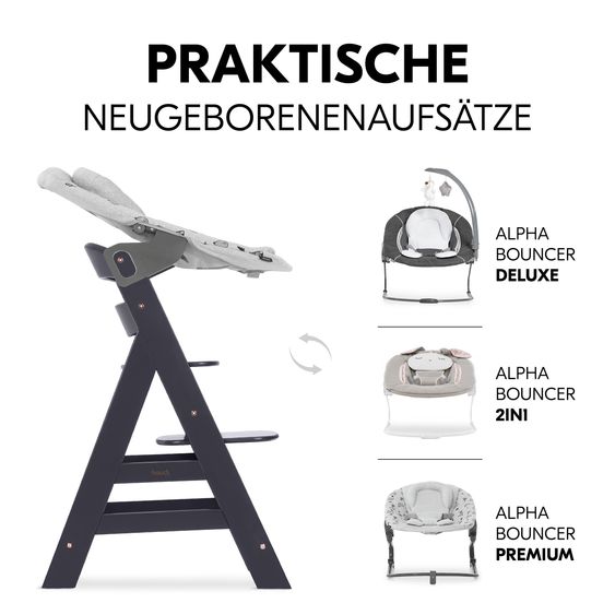 Hauck Seggiolone Alpha Plus Select - con imbracatura a 5 punti e barra di sicurezza (cresce con te e regolabile in altezza) - Grigio scuro