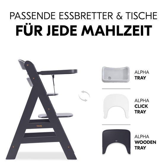 Hauck Hochstuhl Alpha Plus Select - Dark Grey