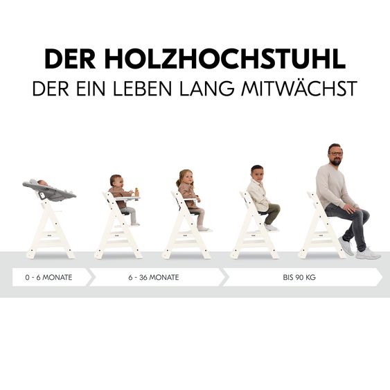 Hauck Hochstuhl Beta Plus - im Sparset inkl. Baby Seat - Dark Grey