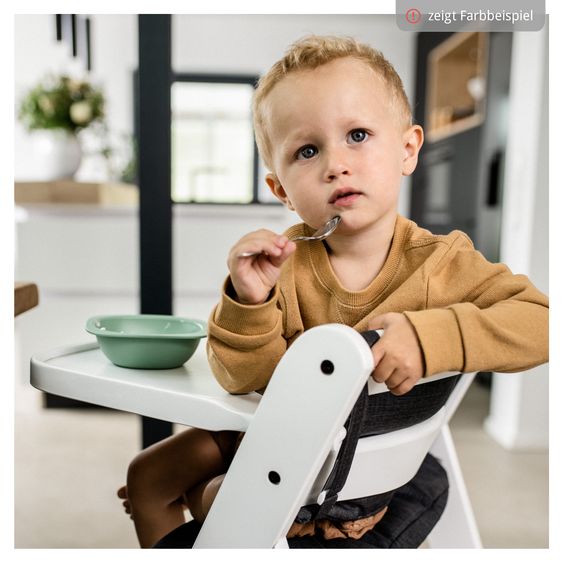 Hauck Hochstuhl Beta Plus - im Sparset inkl. Baby Seat - Dark Grey