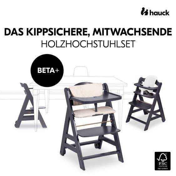 Hauck Hochstuhl Beta Plus - im Sparset inkl. Baby Seat - Dark Grey