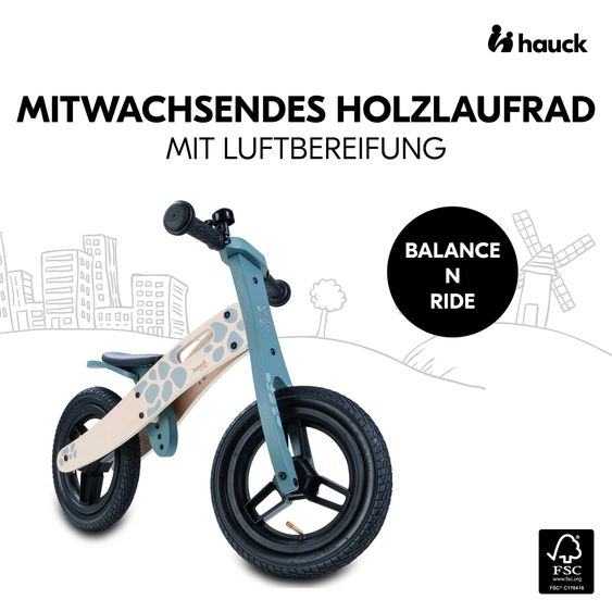 Hauck Balance N Ride wooden balance bike with pneumatic wheels & adjustable seat (from 18 months) - Turtle