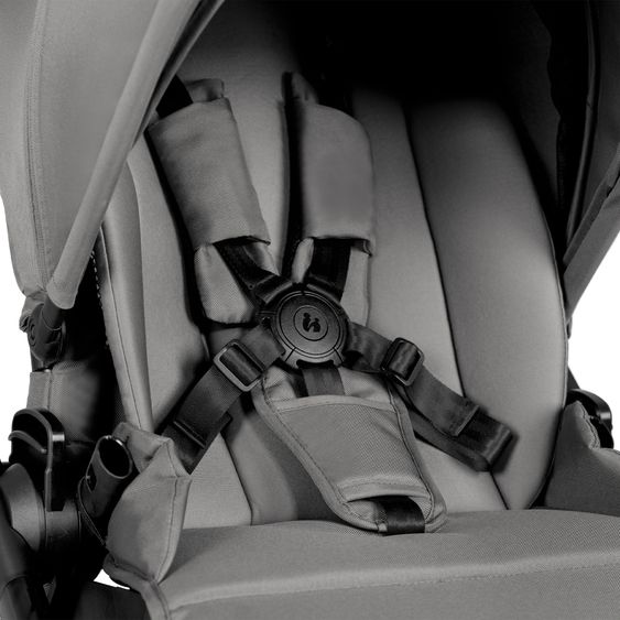 Hauck Kombi-Kinderwagen Grow N Care Set - Dark Grey