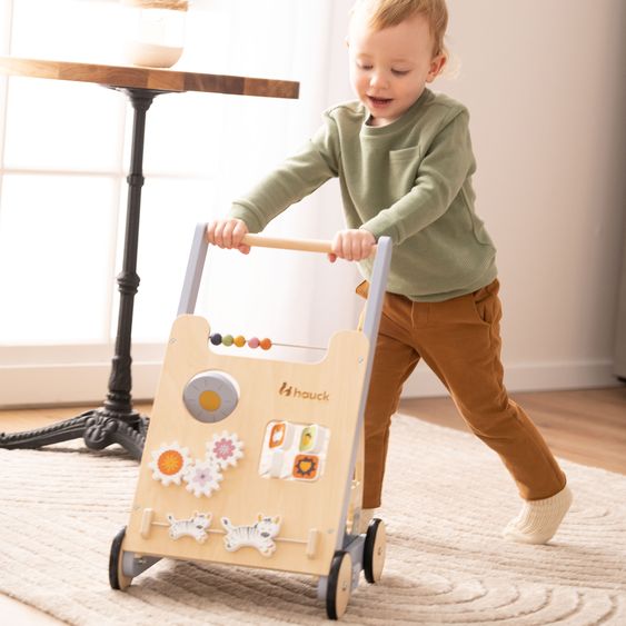 Hauck Lauflernwagen / Sortierwagen Learn To Walk Skills - mit vielen Motorik Spielen