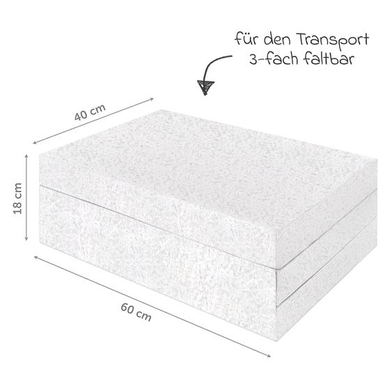 Hauck Reisebett Sparset - Sleep N Play Go Plus inkl. Alvi Reisebett-Matratze + Insektenschutz - Disney - Pooh Exploring