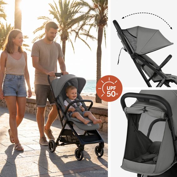 Hauck Poussette Canne & Poussette Sport Fly N Care - Pierre