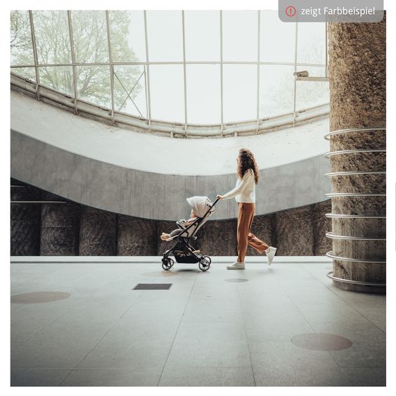 Hauck Travel buggy & stroller Travel N Care incl. buggy steering wheel - Black