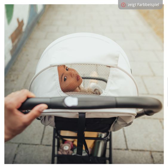 Hauck Travel buggy & stroller Travel N Care incl. buggy steering wheel - Leo